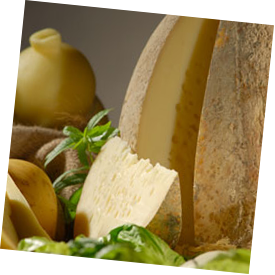 Provolone